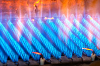 Sherborne St John gas fired boilers